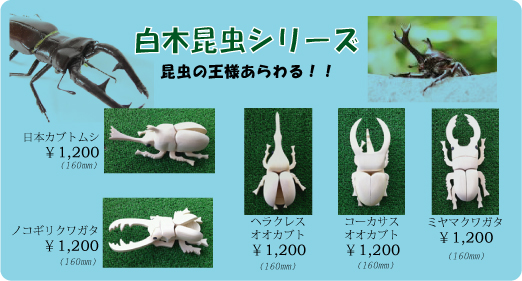 白木昆虫シリーズ