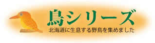 鳥シリーズ
