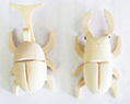 昆虫マグネット白木